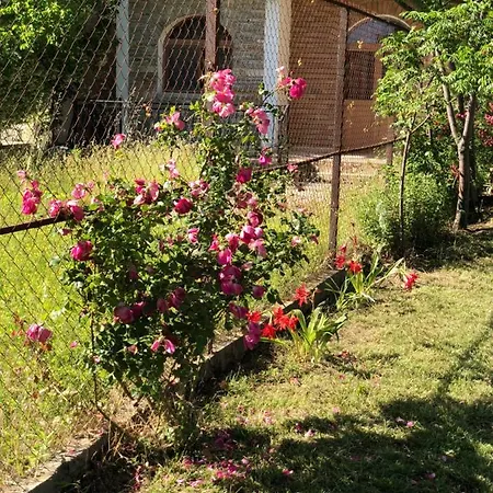 Agis Villa Velipojë