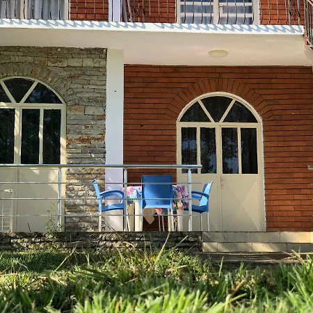 Agis Velipojë